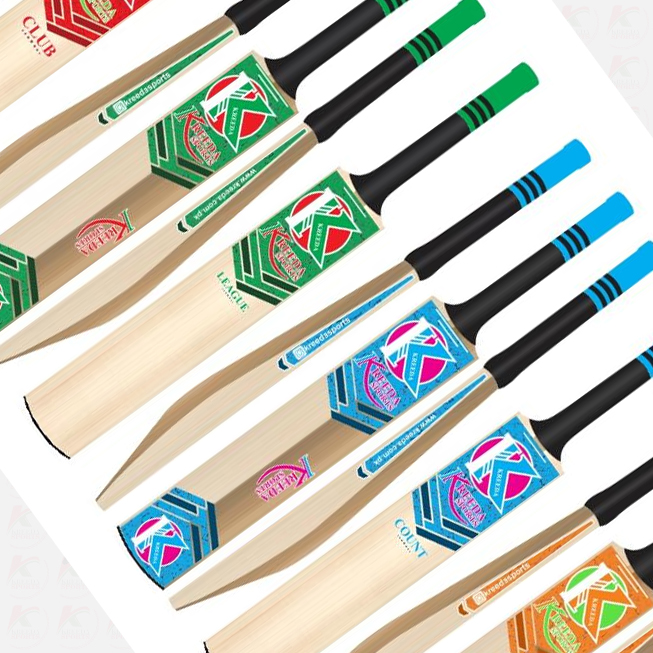Indoor Cricket 